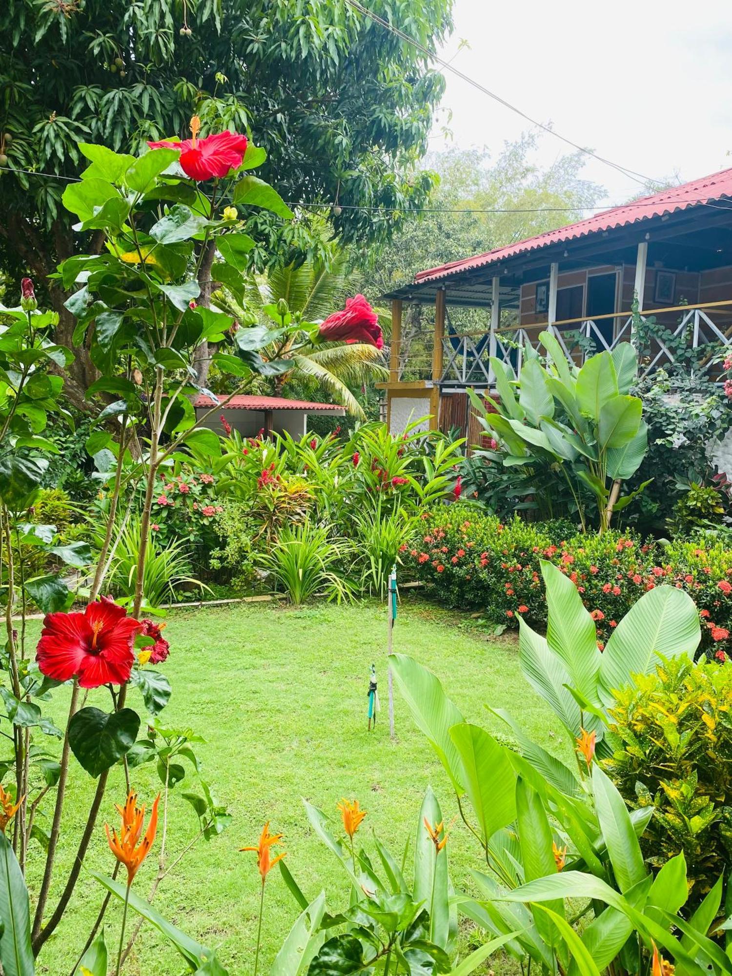 Wayanay Tayrona Eco Hostel El Zaino Exteriér fotografie