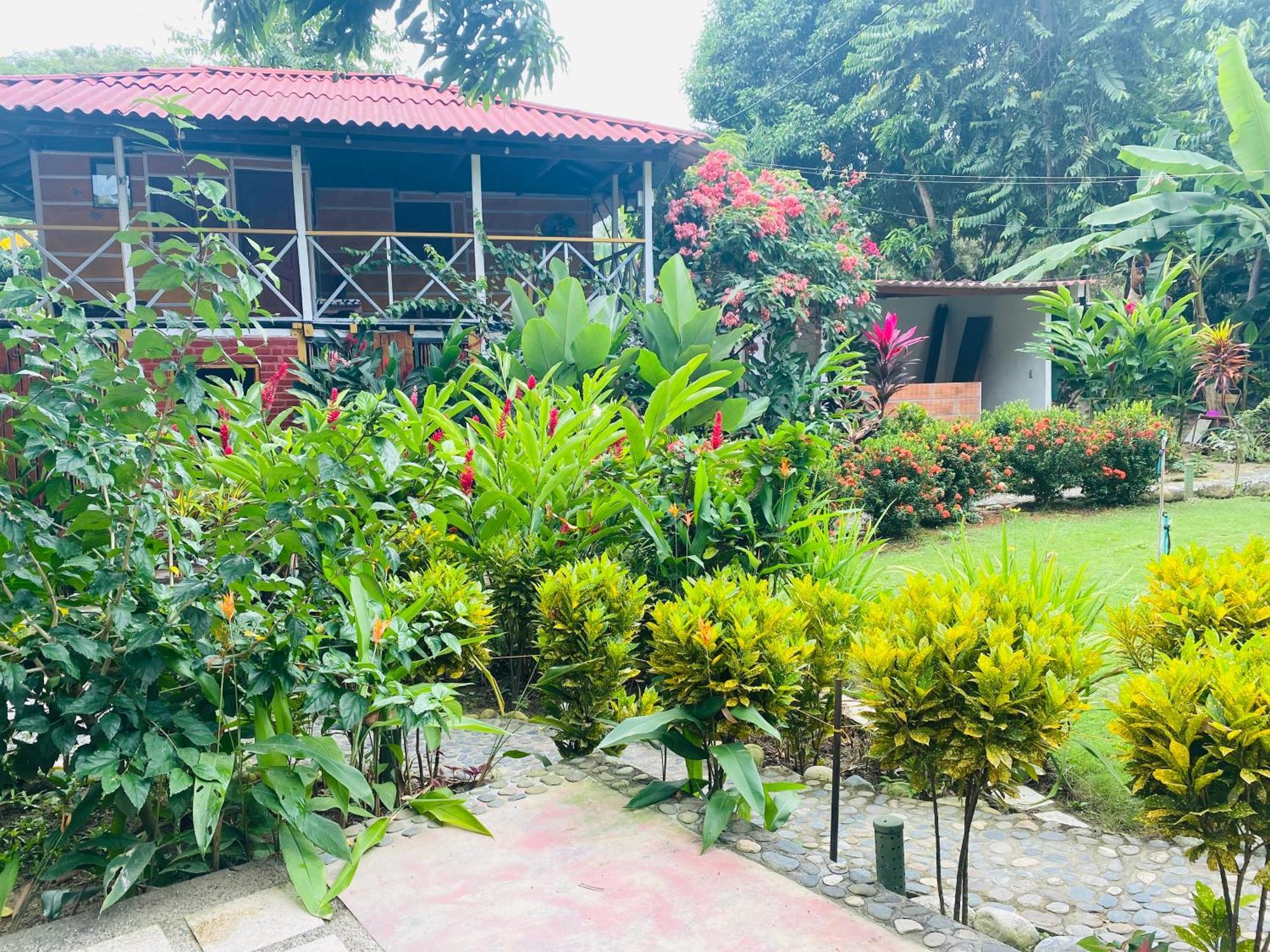 Wayanay Tayrona Eco Hostel El Zaino Exteriér fotografie