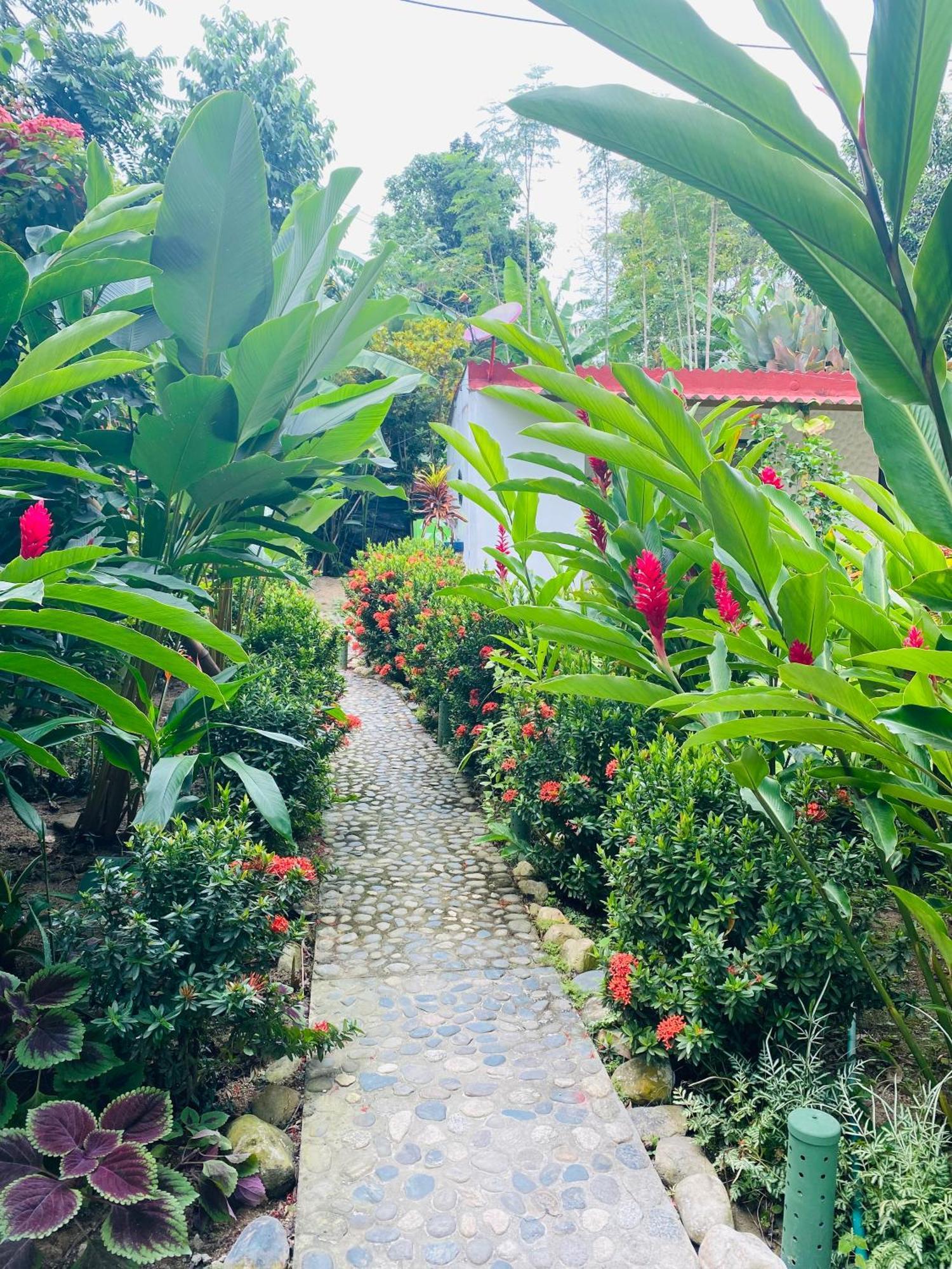 Wayanay Tayrona Eco Hostel El Zaino Exteriér fotografie